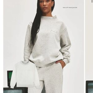 Elegant Light Gray Women's Crew Neck Sweater